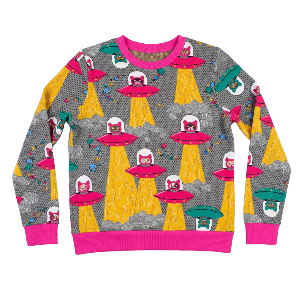 Cats in Space Pullover in Asteroid Field